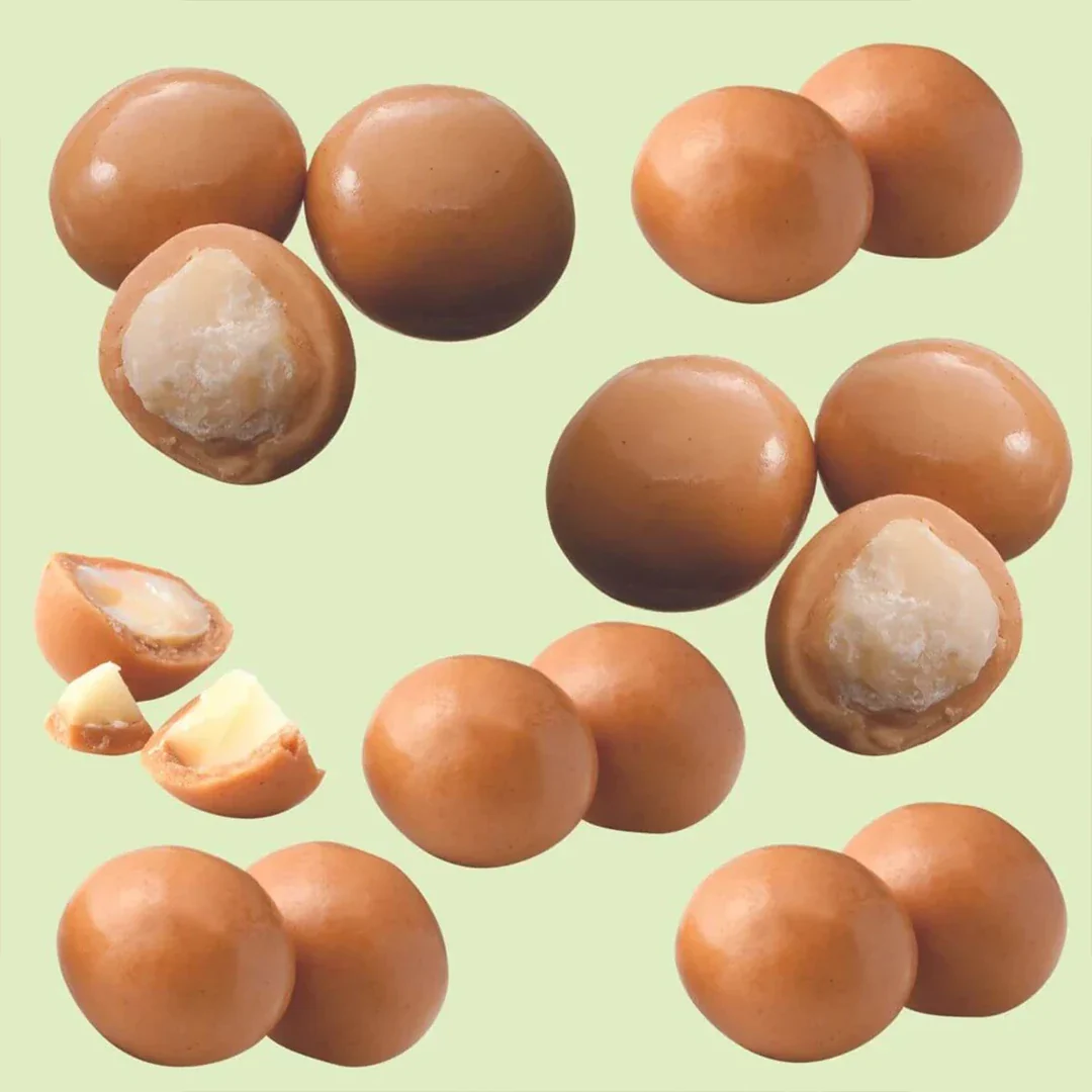 Macadamia Gianduja Chocolate - Image 2