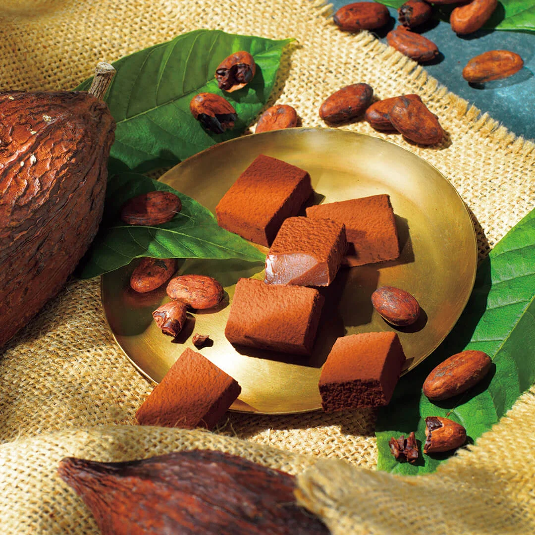 COMING SOON: Nama Chocolate "ROYCE' Farm to Bar" - Image 3