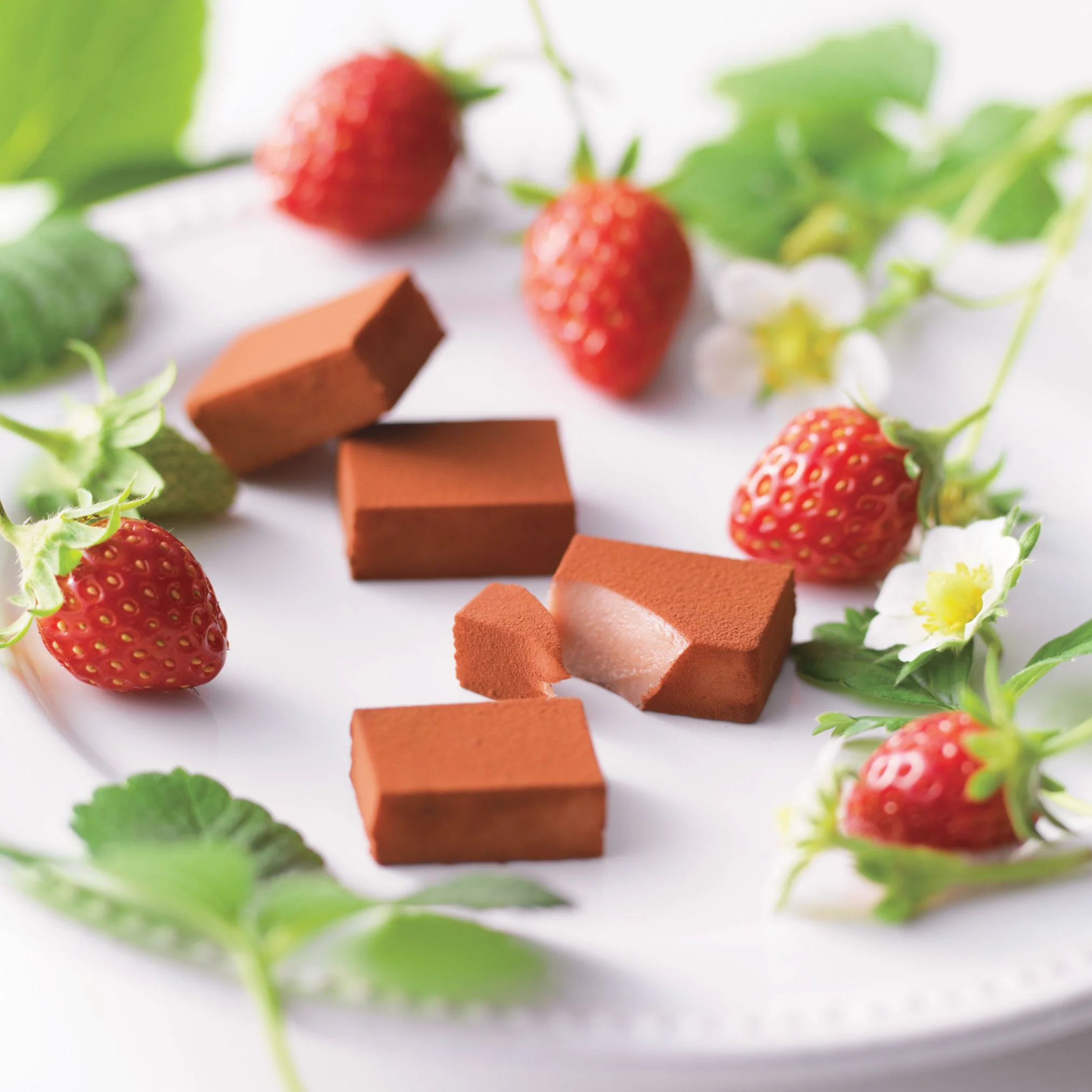 COMING SOON: Nama Chocolate “Strawberry” - Image 2