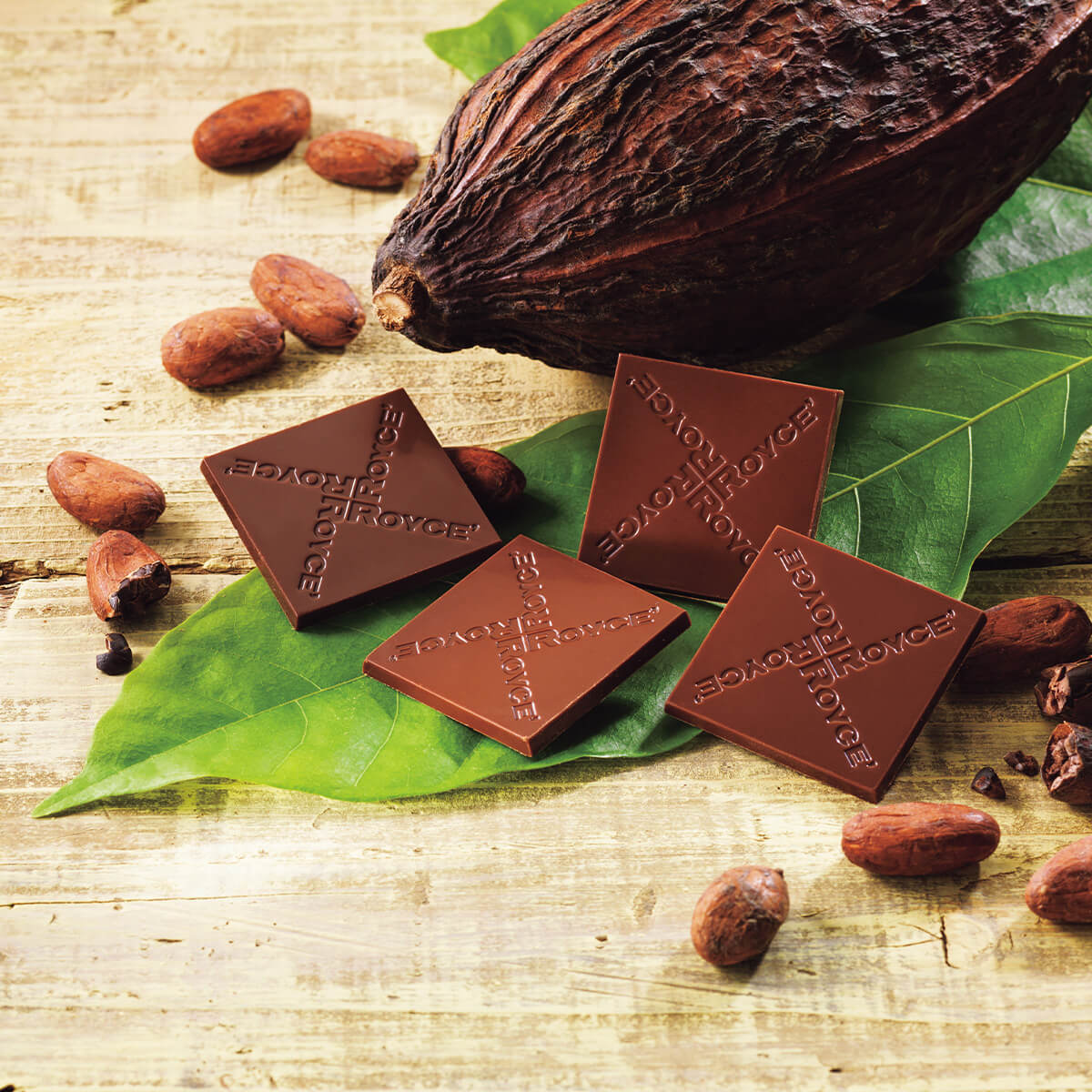 ROYCE' Origin Chocolate "Milk"